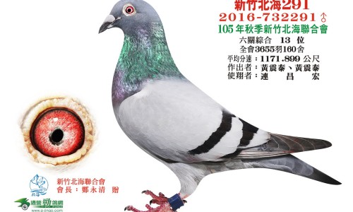 牛黄消炎片功效主治什么-牛黄消炎片功效主治网 - 为你提供牛黄消炎胶囊、牛黄消炎片功效主治什么
